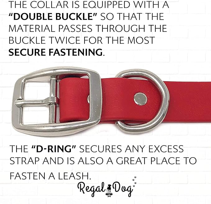 Regal Dog Products Small Red Waterproof Dog Collar and Leash Set | Heavy Duty Double Buckle & D Ring - 5'ft Leash | Adjustable Biothane Dog Collar | Chew Resistant Waterproof Collar for Dogs