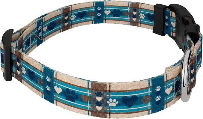 Country Brook Petz - Puppy Picnic Everyday Dog Collar and Leash - Plaid and Argyle Collection Featuring Charming Designs (1 Inch, Medium)