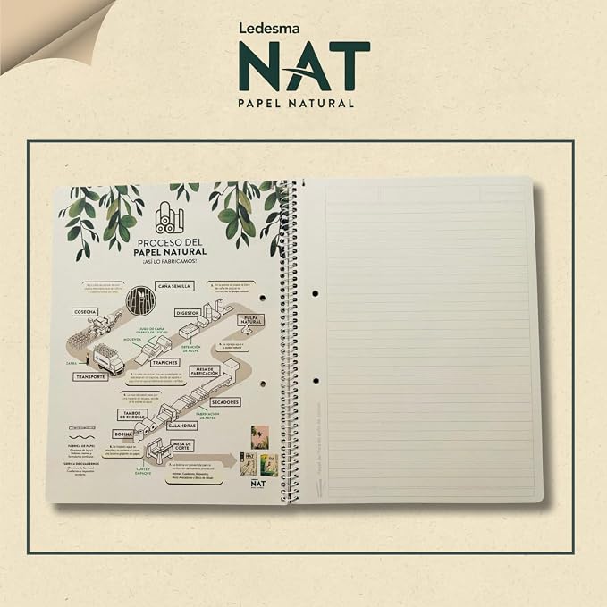 Spiral Lined Notepad with Perforated Edges - 8.7x11.5 Inches, No Tree Used, Sugarcane Fiber - Unbleached, Assorted Covers for School, Office & Writing (5 Pack)