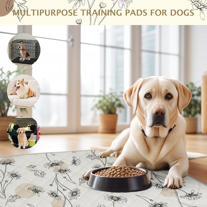 IEUUMLER Washable Pee Pads for Dogs, 2 Pack Non-Slip & Waterproof Pack Whelping Pad, Reusable Washable Puppy Potty Training Pad with Fast Absorbent for Playpen EU007 (Beige Daisy, 36"X41"-2pcs)