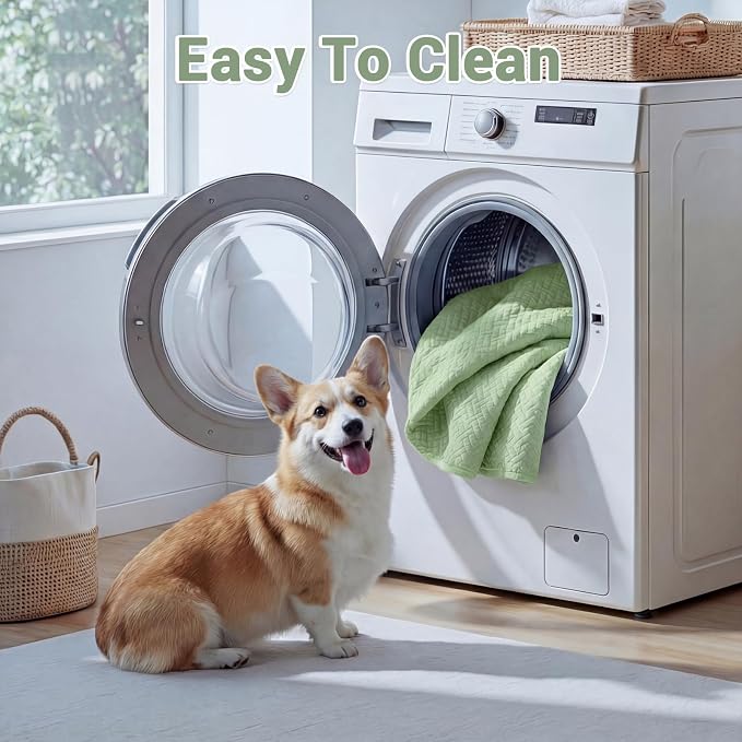 WROS Cooling Human Dog Bed for Summer, Breathable Washable Floor Lounger for People & Pets, 65"x36"x11", Pale Green, Pet Bed for Hot Weather Relaxing