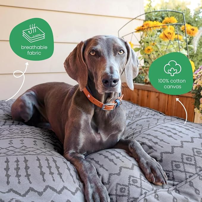 Molly Mutt Wild World Dog Bed Duvet Cover, 100% Cotton Canvas Cover for Dog, Puppy, or Cat Bed, Durable, Washable, and Free of Harmful Chemicals, Medium/Large, 27"x36"x5"