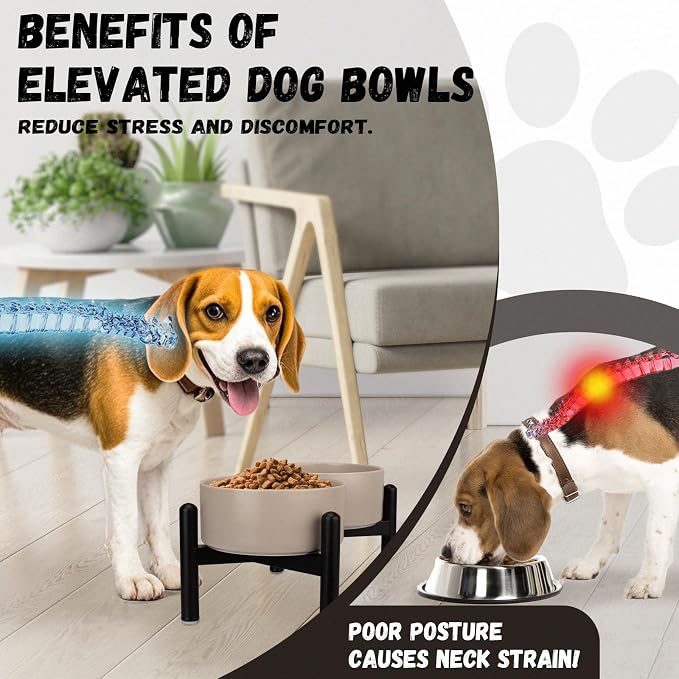 Raised Ceramic Dog Bowl Set - Elevated Double Dishes with Stainless Steel Stand - Food and Water Bowls for Small to Medium Dogs - Each Holds 3.5 Cups (29.57 fl oz) - White