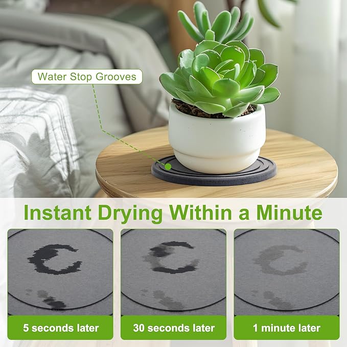Diatomaceous Earth Plant Pot Saucers for Indoor & Outdoor, 2 Pack 6 inch, Round Plant Drip Trays, Plant Dish Pant Plate to Catch Water, Instant Drying Stone Drainage Tray