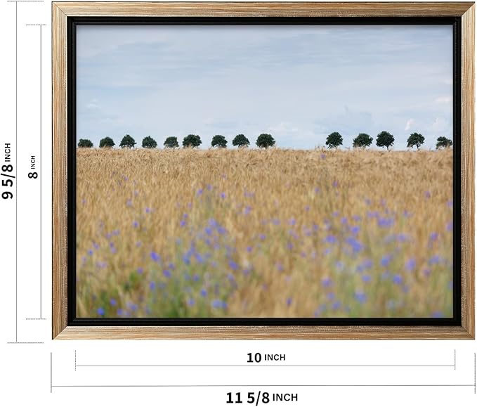 Monem Art Golden Meadow Horizon Landscape Print - Minimalist Nature Photography Poster - Wall Decor for Living Room, Bedroom or Office - 8x10 Silver Framed CANVAS Wall Art by Mareike Bohmer
