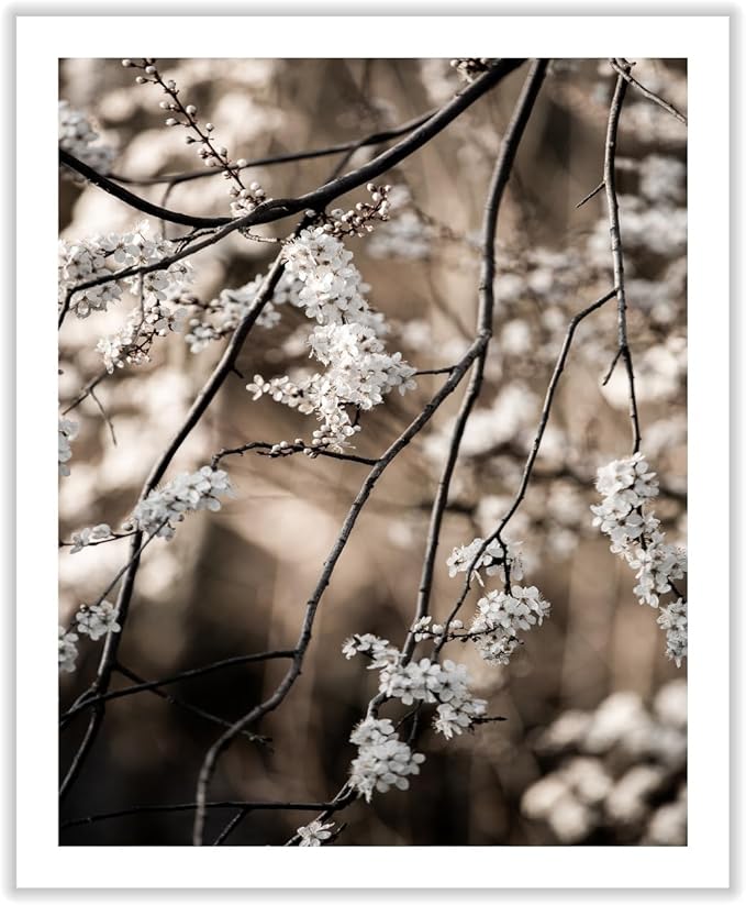 Monem Art Cherry Blossom Branch Photography Print - Moody Botanical Nature Art Poster - Wall Decor for Living Room, Bedroom or Office - 16x20 ROLLED CANVAS Wall Art by Mareike Bohmer