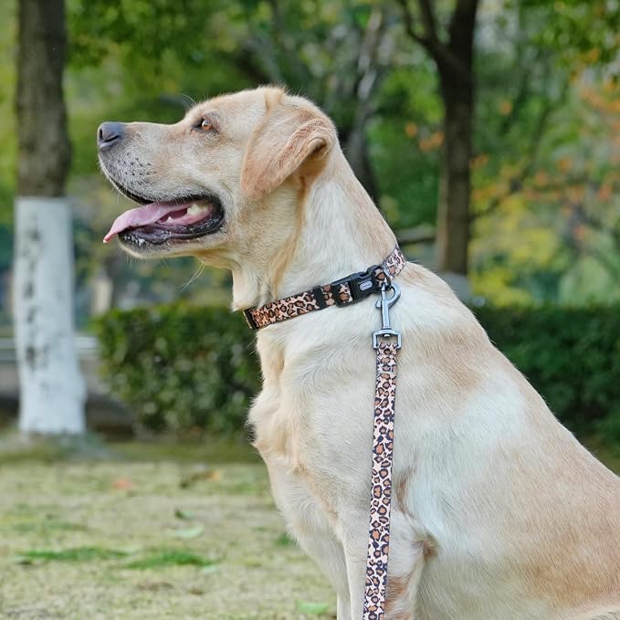 Dog Collar Leash Set, Leopard Pattern, Polyester Material, Adjustable Collar and 5ft Matching Leash, for Small Dogs.(S, Brown Leopard)