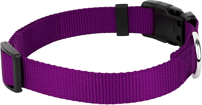 Country Brook Petz - Everyday Nylon Dog Collar and Leash - 10+ Cool Colors (3/4 Inch, Small, Purple)
