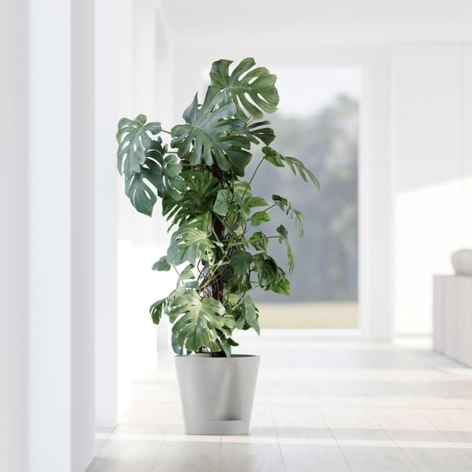 Ecopots Venice 2 Durable Modern Round Indoor/Outdoor Recycled-Based Composite Flower Pot Planter w/Water Reservoir, White Grey, 12"