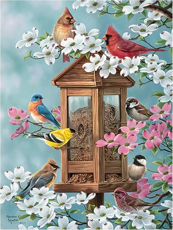 Leanin' Tree, Nature's Wonders, Greeting Cards Assortment Box, Assorted Cards with Envelopes, All Occasion, 20 Cards, 22 Envelopes