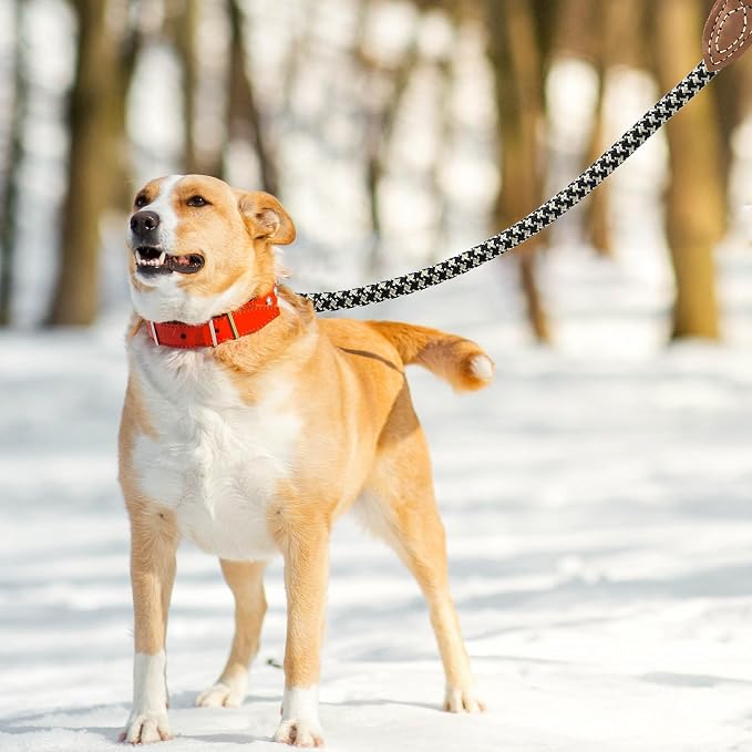 Mile High Life Rope Leash with Genuine Leather Connection, 6 FT/5 FT/4 FT, Heavy Duty Leash for Medium & Large Dogs (Black Khaki, 72 Inch)