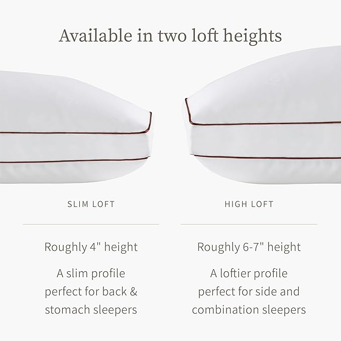 Saatva Latex Pillow - Standard Loft (4” - 5”) - Hypoallergenic Pillow with Shredded Latex Core - Breathable - Machine Washable Organic Cotton Cover - Queen (28"x18") 1 Pack