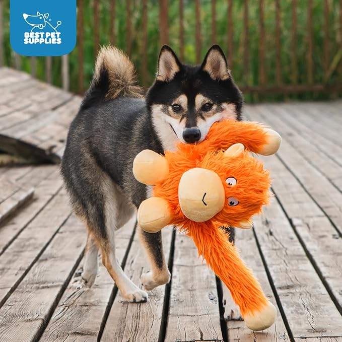 Best Pet Supplies Interactive Squeaky Dog Chew Toy, Ideal Dog Toys for Chewers, Small, Medium & Large Dogs, and Fetch Lovers - O-Hug-Atan (Orange), Large