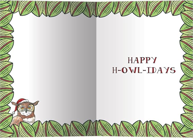 Tree-Free Greetings Christmas Cards and Envelopes, Holiday Card Set, 5 x 7 Inch Cards, Box Set of 10, Owl Be Home, (HB93236)
