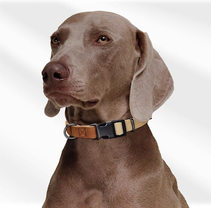 Mile High Life Genuine Leather Dog Collar, Soft Cotton Pet Collars with Heavy Metal Buckle for Small Large Dogs (Khaki, S Neck 11"-15")