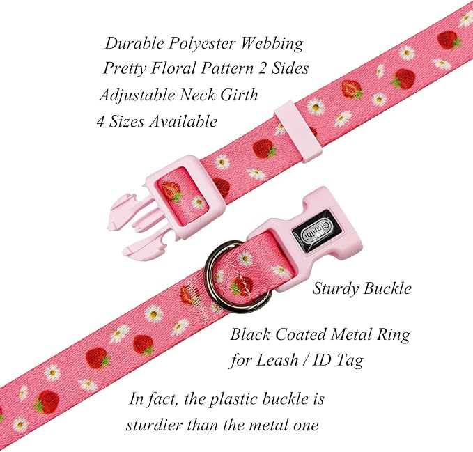 Dog Collar Leash Set, Floral Pattern, Polyester Material, Adjustable Collar and 5ft Matchcing Leash, for Medium Dogs.(M,Daisy and Strawberry)