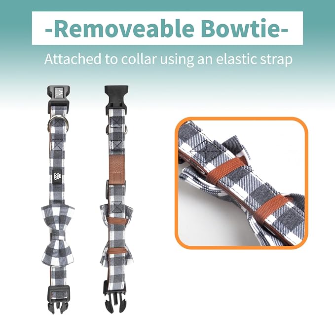 IVY&LANE Dog Collar with Bowtie and Leash Set | Plaid Adjustable Dog Collar | Detachable Bow Tie |5 FT Dog Leash | for Small Medium Large Dogs | Checkered Black | Medium