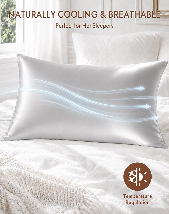 SilkSilky 100% Pure Organic Mulberry Silk Pillowcase for Hair & Skin, Both Sides Grade 6A Pillow Cases with Hidden Zipper, Breathable Cooling Silk for Beauty Sleep (Queen 20''x30'', Silver)