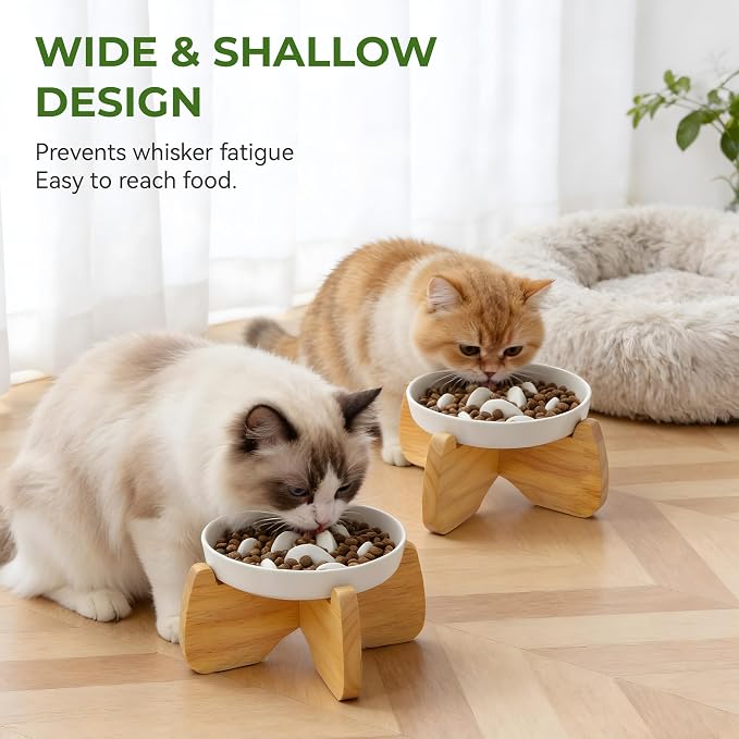 Raised Slow Feeder Cat Bowl with Stand, 6.3'' Wide Ceramic Elevated Shallow Slow Eating Cat Bowl for Dry/Wet Food, Anti-Vomiting Pet Puzzle Feeder, Whisker Friendly, Dishwasher Safe (2 Pack) | Anti-Gulping & Keep Fit, Dishwasher Safe, For Dry and Wet F...