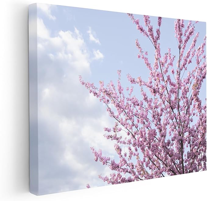Monem Art Cherry Blossom Spring Sky Photography Print - Floral Nature Art Poster - Wall Decor for Living Room, Bedroom or Office - 18x24 STRETCHED CANVAS Wall Art by Mareike Bohmer
