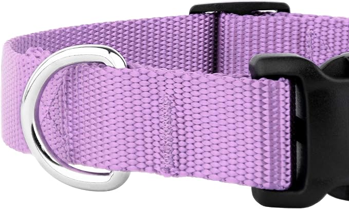 Country Brook Petz - Everyday Nylon Dog Collar and Leash - 10+ Cool Colors (3/8 Inch, 2XS, Lavender)