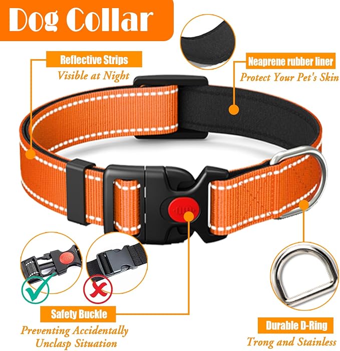 LOBEVE No Pull Dog Harness, Collar & Leash Set | Includes Dog Seat Belt, Collapsible Bowls & Poop Bag Dispenser. Ideal for Training, Walking, Hiking. Fits Small to Large Dogs(Orange-S)