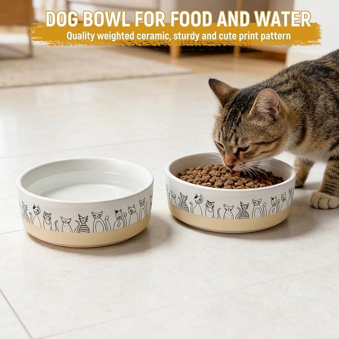 Ceramic Cat Bowls，6.1inch Raised Cat Bowls with Cute Pattern for Small and Medium Breed Dogs,2 Pack Cats Food and Water Bowl Set,Weighted Pet Dishes Dishwasher Safe