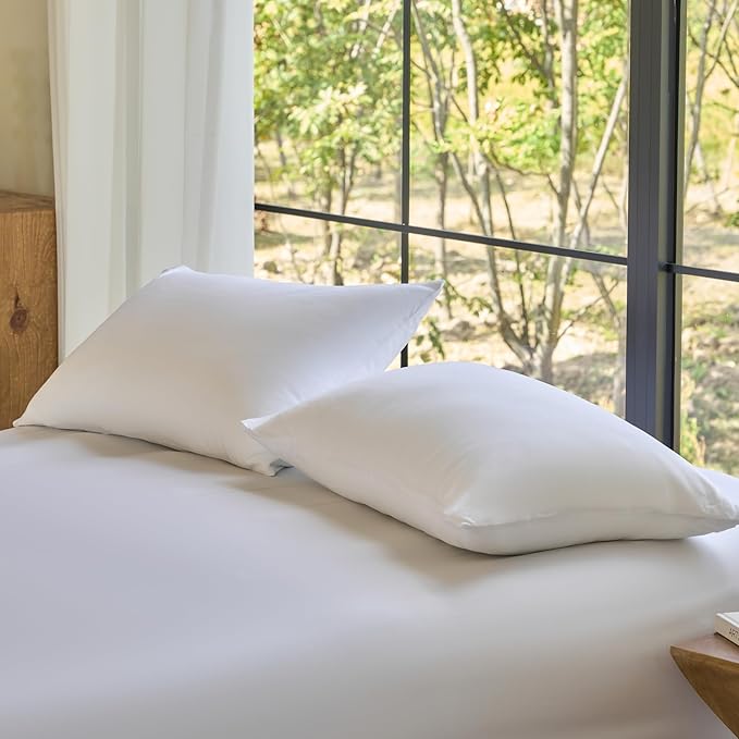 DOZ by SIJO Pillowcase Set, 100% Viscose derived from Organically Grown Bamboo, Buttery Soft, Silky, Breathable, Cooling, Oeko-TEX, High GSM, 2-Pack, Envelope Closure (Queen, Snow)
