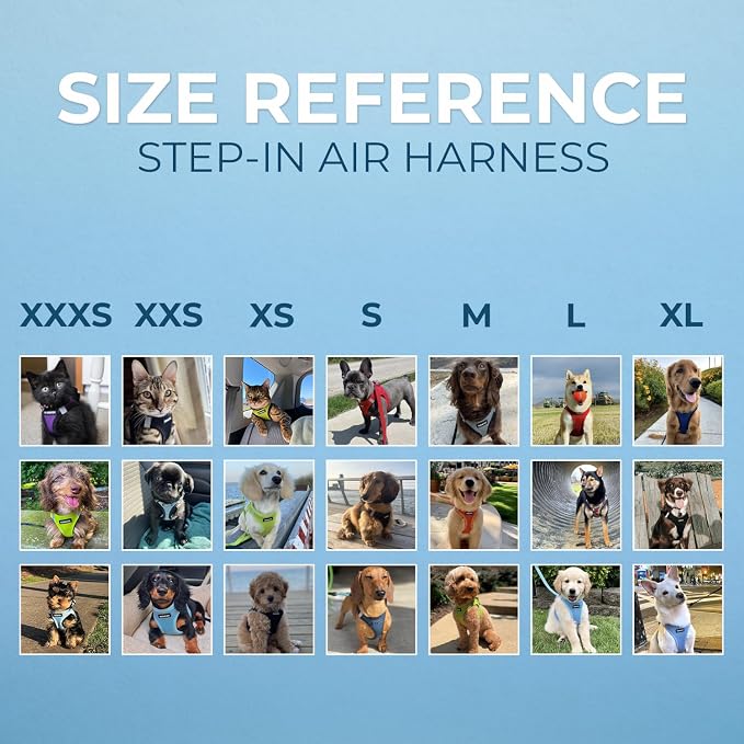 Best Pet Supplies Voyager Step-in Air All Weather Mesh Harness and Reflective Dog 5ft Leash Combo with Neoprene Handle, for Small, Medium and Large Breed Puppies - Khaki, XXS
