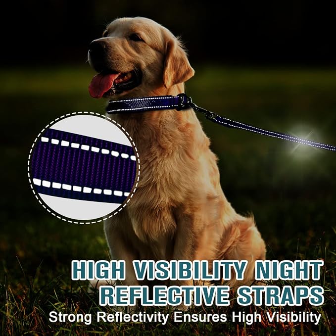 Dog Collar for Medium Small Large Dogs Reflective with Leash,Collar and Leash for Dogs,Soft Neoprene Padded 2 Pack(Purple,S)