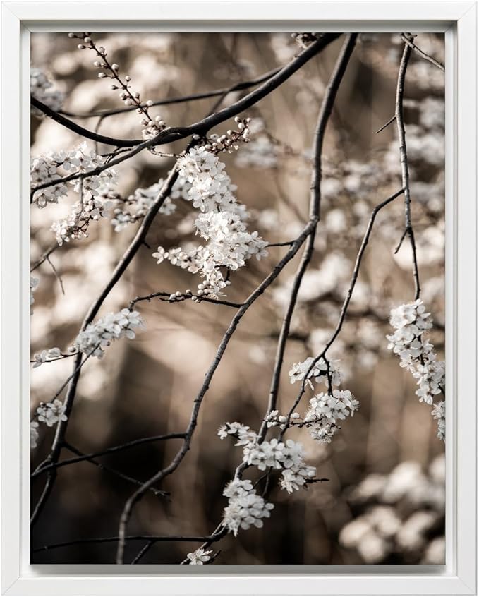 Monem Art Cherry Blossom Branch Photography Print - Moody Botanical Nature Art Poster - Wall Decor for Living Room, Bedroom or Office - 18x24 White Framed CANVAS Wall Art by Mareike Bohmer