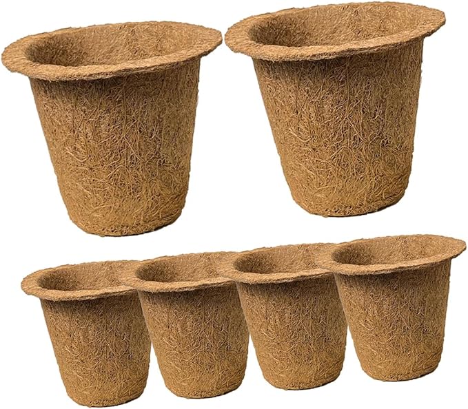 LABRIMP 6pcs Biodegradable Coir Succulent Planter Nursery Pots for Seedlings and Indoor Garden, Eco-Friendly Peat Plant Holders Suitable for Vegetable and Herb Growth