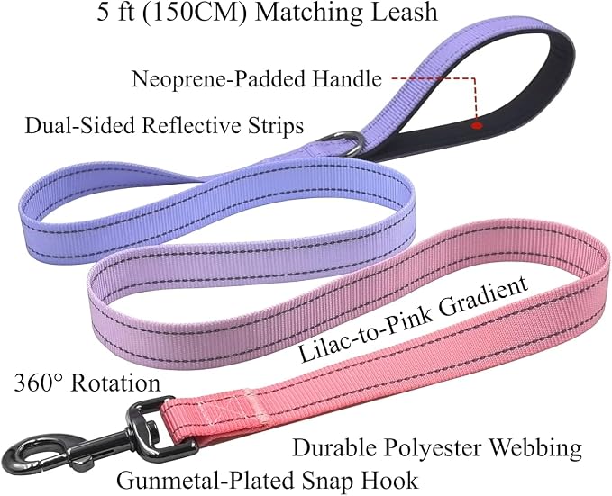 Dog Collar Leash Set, Gradient Color, with Safety Reflective Strips, 5 ft Matching Leash, Neoprene Padded Handle, Adjustable 4 Sizes for Small Medium Large Dogs.(M, Lilac Pink)