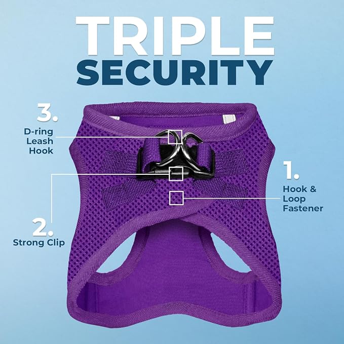 Best Pet Supplies Voyager Step-in Air All Weather Mesh Harness and Reflective Dog 5ft Leash Combo with Neoprene Handle, for Small, Medium and Large Breed Puppies - Purple, Small