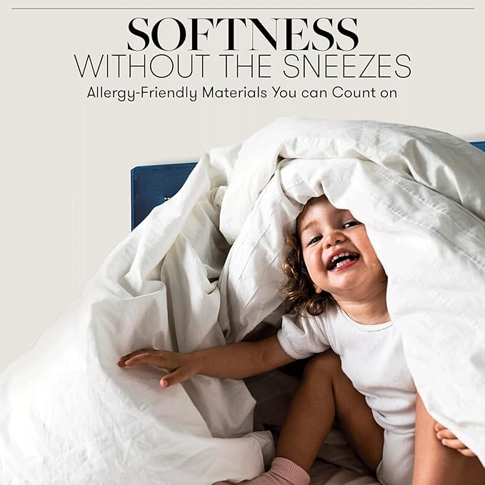 Full/Queen Size Comforter - Luxury Goose Down Alternative Comforter Duvet Insert - Ultra Soft Hypoallergenic Bedding - with Corner Tabs - Hotel Dorm
