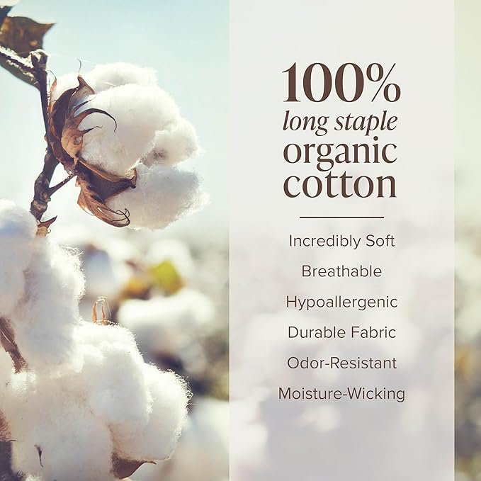 Bare Home 100% Organic Cotton Twin XL Sheet Set - Crisp Percale Weave - Lightweight & Breathable - Bedding Sheets & Pillowcases (Twin XL, Dusty Pink)
