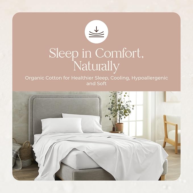 100% Organic Cotton Pillow Cases Standard Size Set of 2-100% Cotton Pillowcases GOTS Certified 300 Thread Count - Naturally Cooling Comfortable Breathable & Soft Pillow Cases (White, Standard)