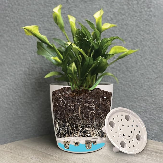 7" & 5" Self-Watering Plant Pot Set