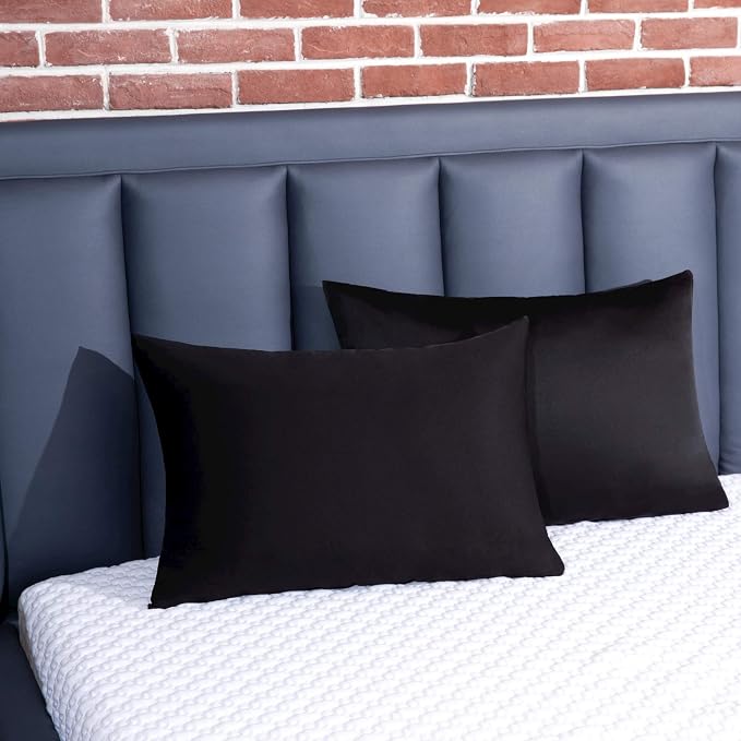 100% Mulberry Silk Pillowcase 2 Pack for Hair and Skin,with Hidden Zipper,Both Sides 19 Momme 600 Thread Count Natural Silk Pillow Cover,Soft Breathable Smooth (Black, Queen 20''x30'')