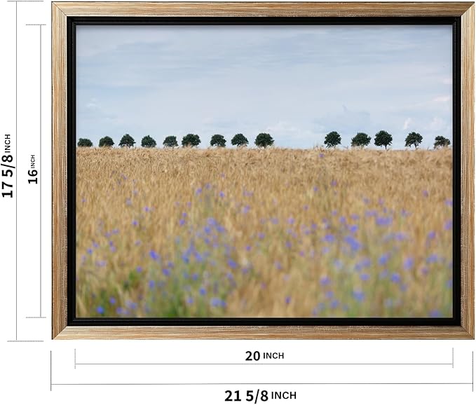Monem Art Golden Meadow Horizon Landscape Print - Minimalist Nature Photography Poster - Wall Decor for Living Room, Bedroom or Office - 16x20 Silver Framed CANVAS Wall Art by Mareike Bohmer
