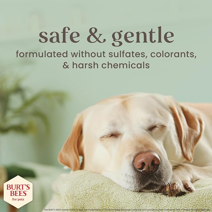 BURT'S BEES FOR PETS Deodorizing Spray for Dogs, Manuka Honey & Charcoal, Reduces Odor Between Baths, 95%+ Natural Origin, No Artificial Fragrance, Sulfates or Colorants, Milk & Honey Scent, 10 Fl Oz