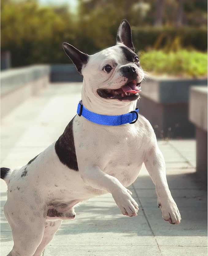 Mile High Life Soft & Strong Poly Cotton Adjustable Dog Collar with Quick Release Buckle for Small to Large Dogs(Blue, Medium Neck 13"-17")