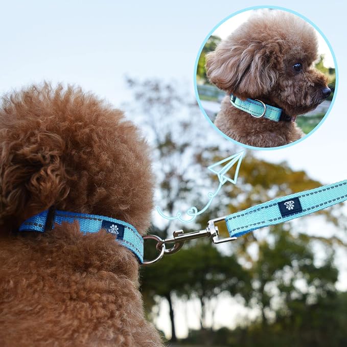 NESTROAD Dog Collar and Leash Set,Reflective Dog Collars with Quick Release Buckle,Adjustable Nylon Pet Collar for Small Medium Large Dogs(Small,Blue)
