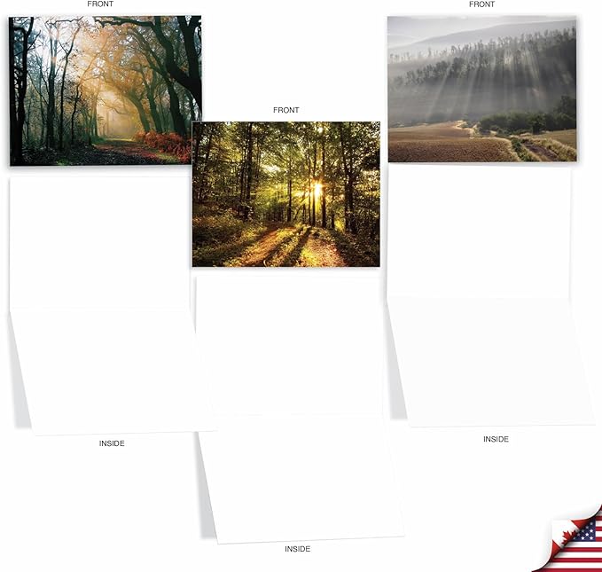 The Best Card Company - Box of 10 All Occasion Cards Blank (4 x 5.12 Inch) - Scenic Landscape Cards Assorted - Shining Through M1735BN