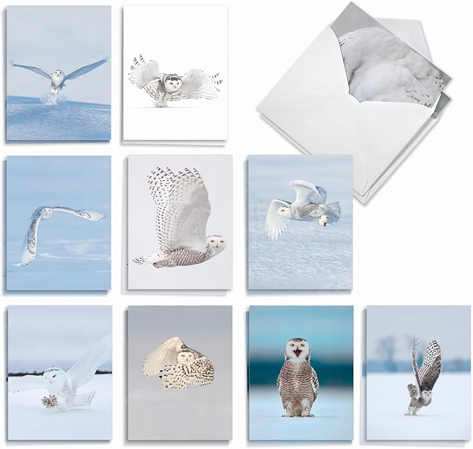 The Best Card Company - 20 Blank Note Cards with Envelopes (4 x 5.12 Inch) - All Occasion Animal Card Assortment (10 Designs, 2 Each) - Snowy Owls AM9518OCB-B2x10