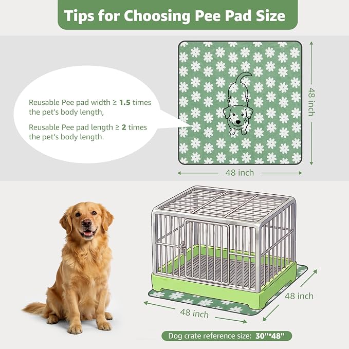 LOOBANI Extra Large Whelping Pad, Non-Slip Dog Pee Pads Washable, Fast Absorbent Reusable Pee Pads for Dogs, Waterproof and Leakproof Dog Playpen Mat for Floor, Crate, Potty (48"x48",2 Packs)