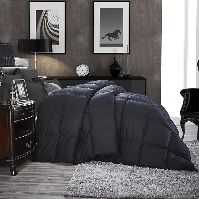 Luxurious Twin/Twin XL Goose Down Comforter, Unique Black Solid, 600 Thread Count, 100% Egyptian Cotton Cover, 65 Oz Fill Weight, 750 Fill Power