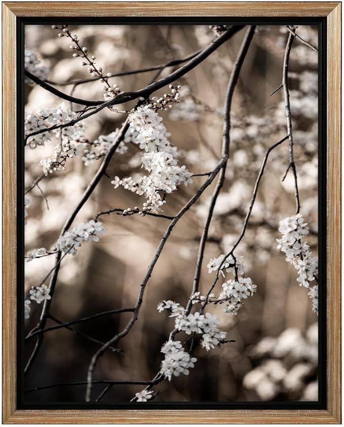 Monem Art Cherry Blossom Branch Photography Print - Moody Botanical Nature Art Poster - Wall Decor for Living Room, Bedroom or Office - 24x32 Silver Framed CANVAS Wall Art by Mareike Bohmer