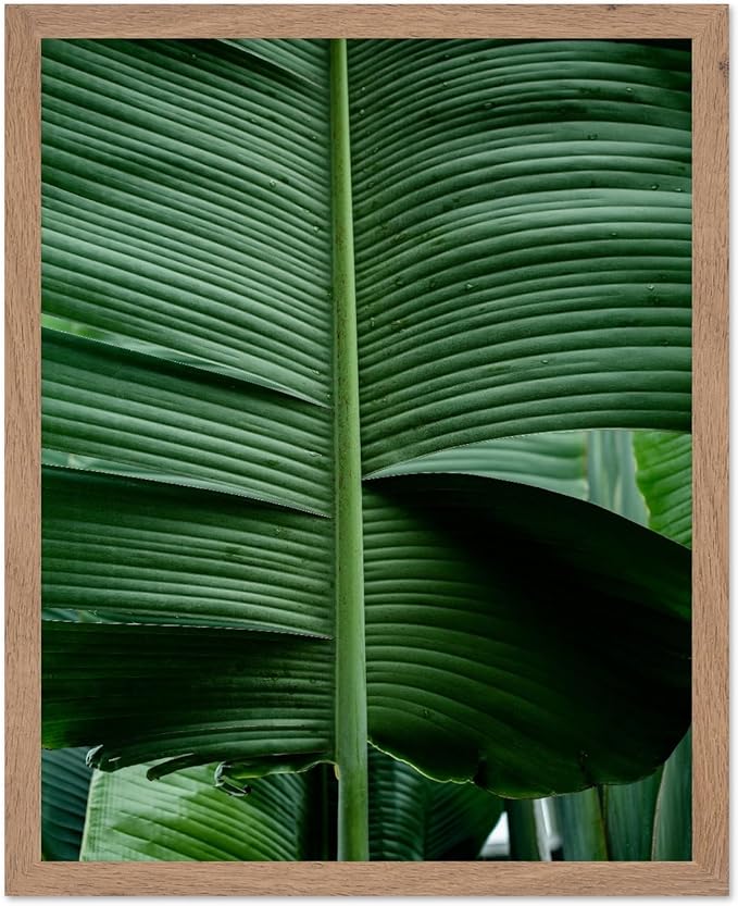 Monem Art Tropical Banana Leaf Photography Print - Minimalist Botanical Nature Poster - Wall Decor for Living Room, Bedroom or Office - 8x10 Beige Framed Wall Art by Mareike Bohmer