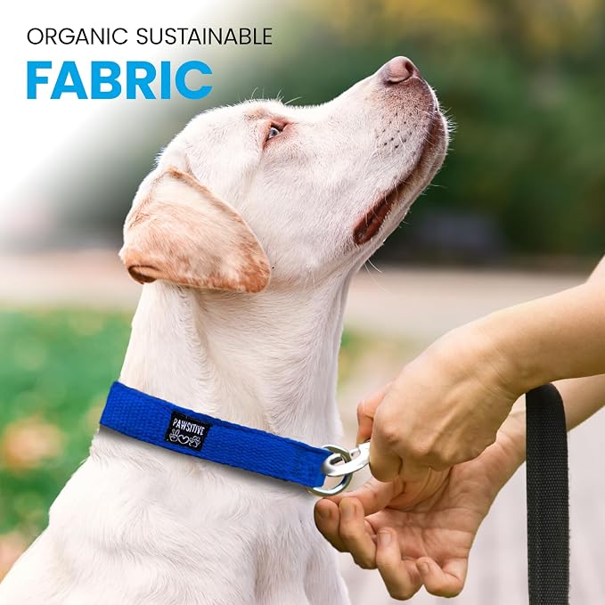 Hypoallergenic Dog Collar - Great for Sensitive Skin, Soft Collar for Dogs, Soft Organic & Earth Friendly (Small, Orange)